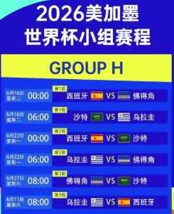 梅西退役巡演